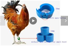 GEN4 RFID Tags